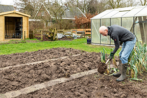 Man bezig in moestuin